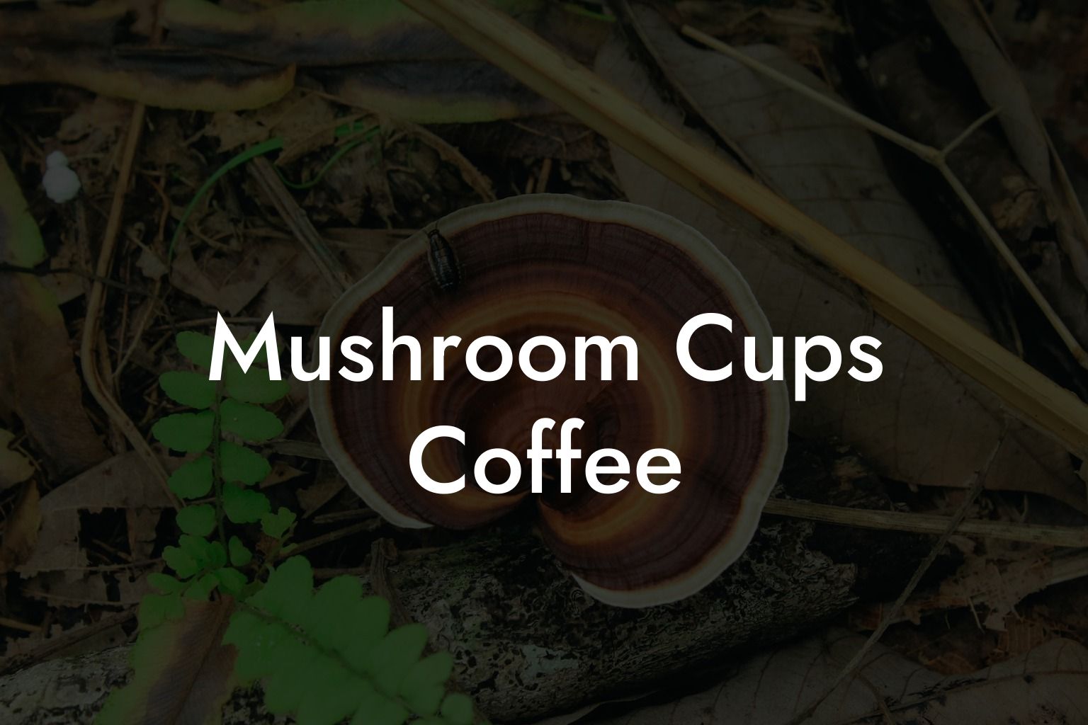 Mushroom Cups Coffee