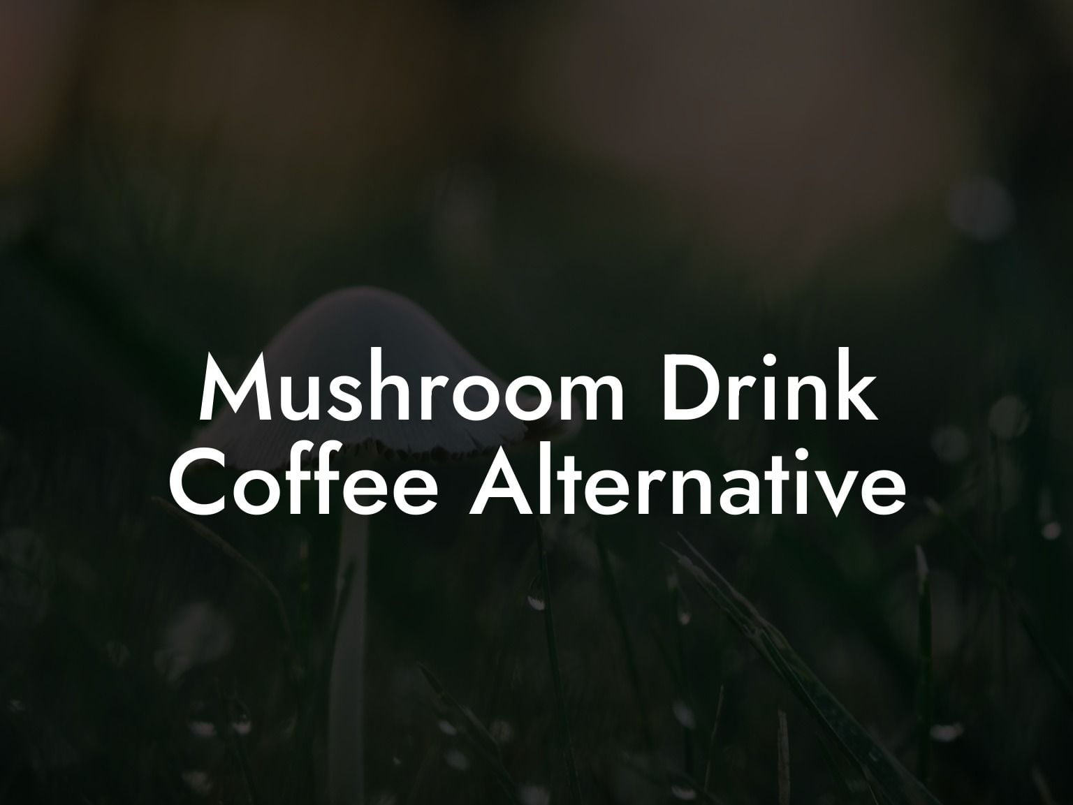 Mushroom Drink Coffee Alternative