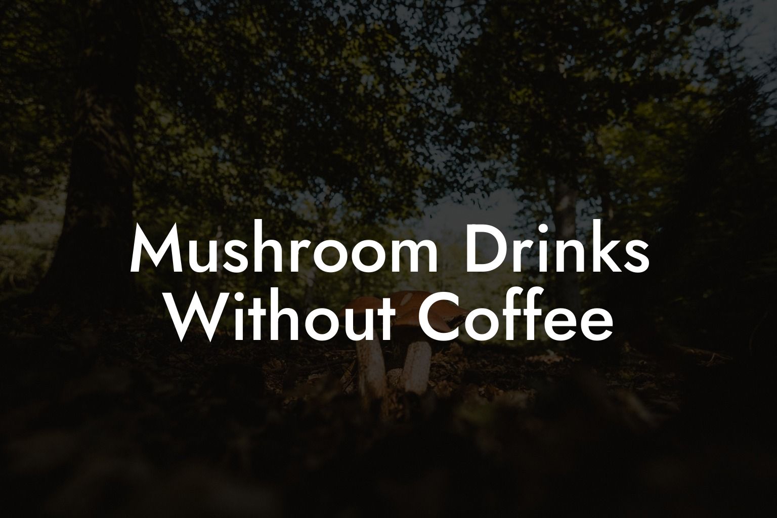 Mushroom Drinks Without Coffee