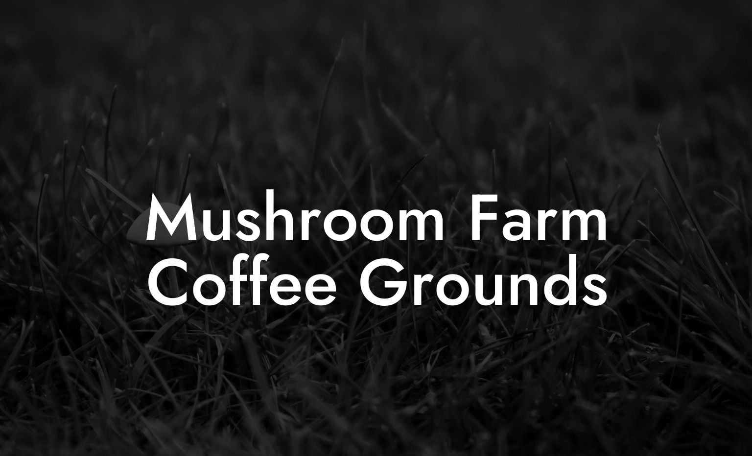 Mushroom Farm Coffee Grounds