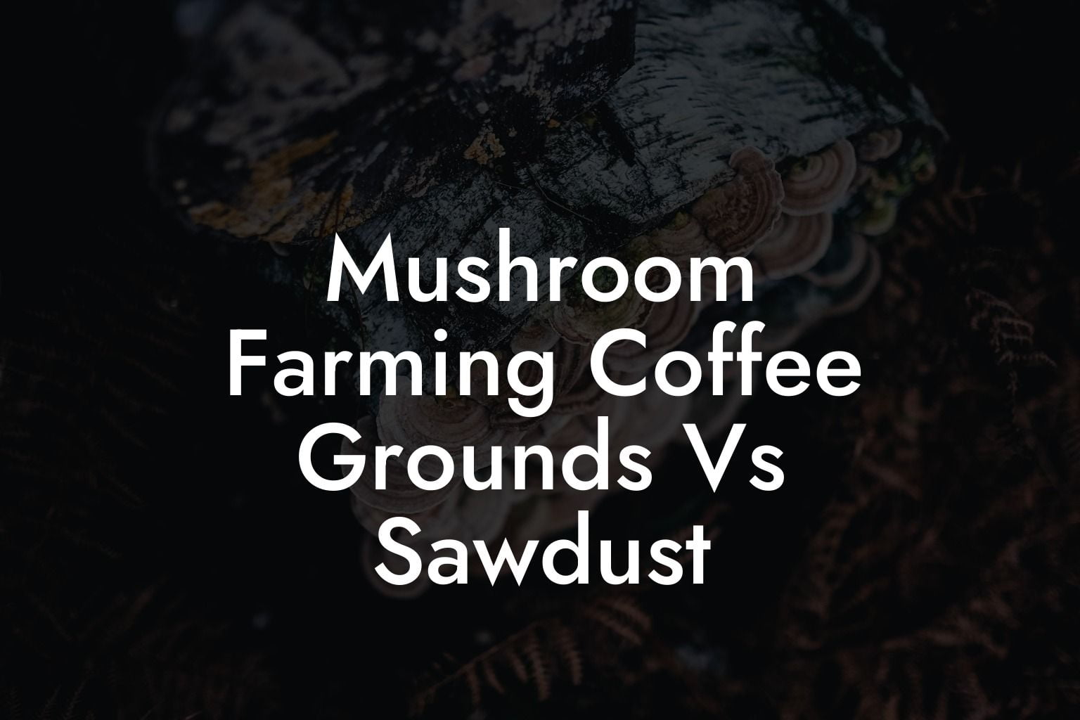 Mushroom Farming Coffee Grounds Vs Sawdust