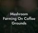 Mushroom Farming On Coffee Grounds