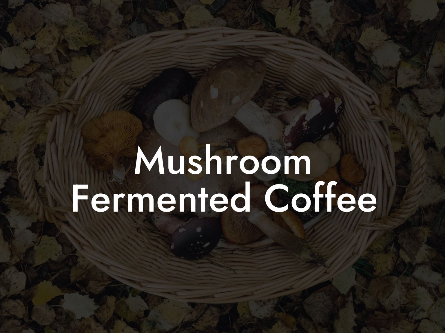 Mushroom Fermented Coffee