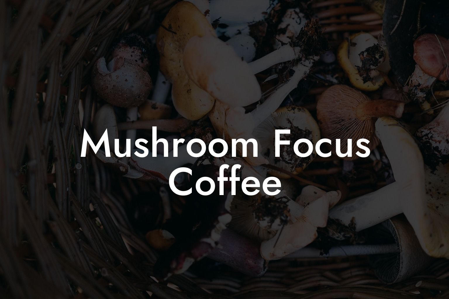 Mushroom Focus Coffee