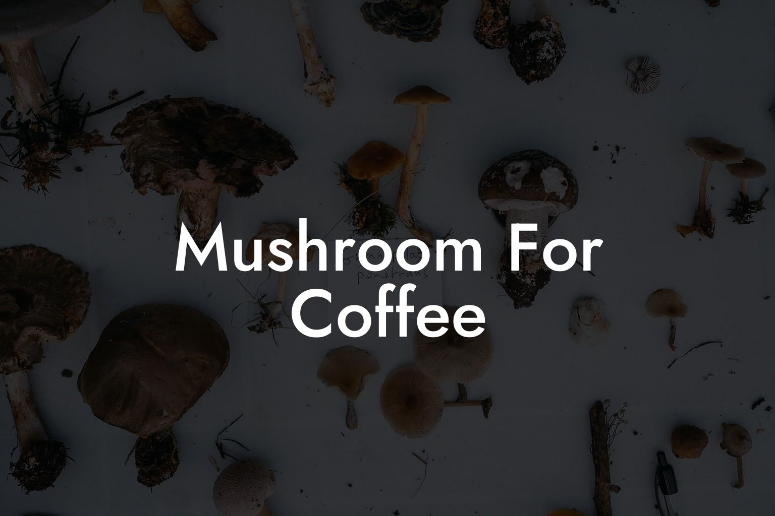 Mushroom For Coffee