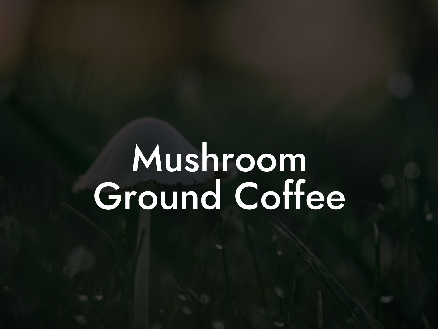 Mushroom Ground Coffee