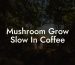 Mushroom Grow Slow In Coffee