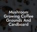 Mushroom Growing Coffee Grounds And Cardboard