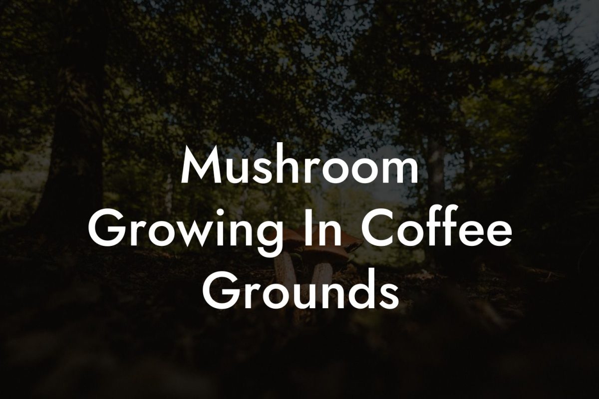 Mushroom Growing In Coffee Grounds