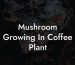 Mushroom Growing In Coffee Plant
