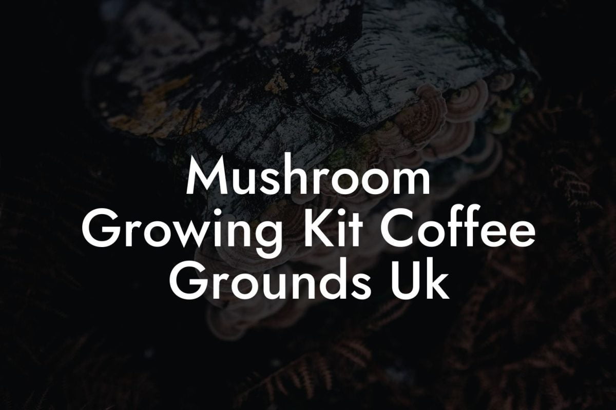 Mushroom Growing Kit Coffee Grounds Uk