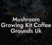 Mushroom Growing Kit Coffee Grounds Uk