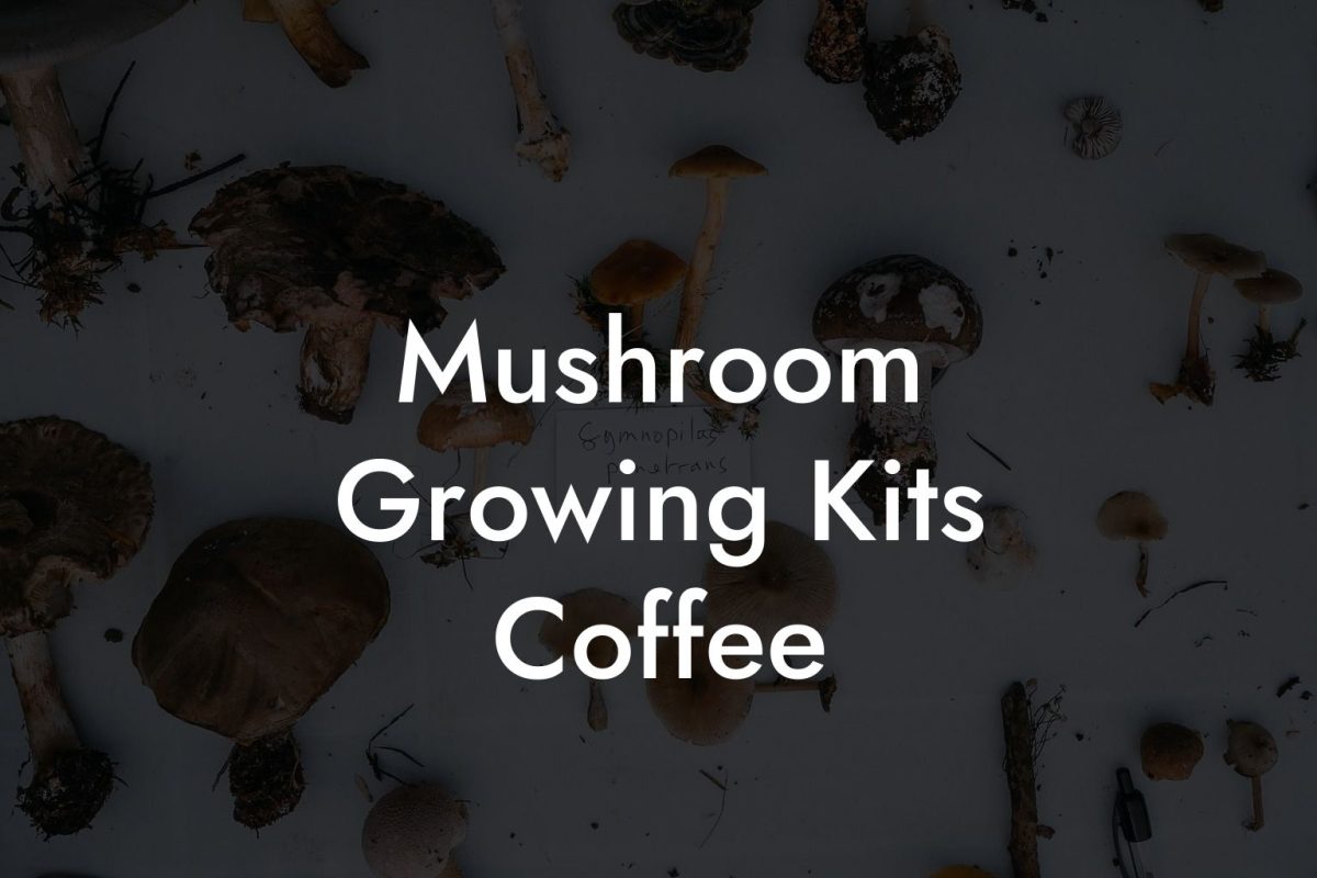 Mushroom Growing Kits Coffee