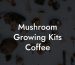 Mushroom Growing Kits Coffee