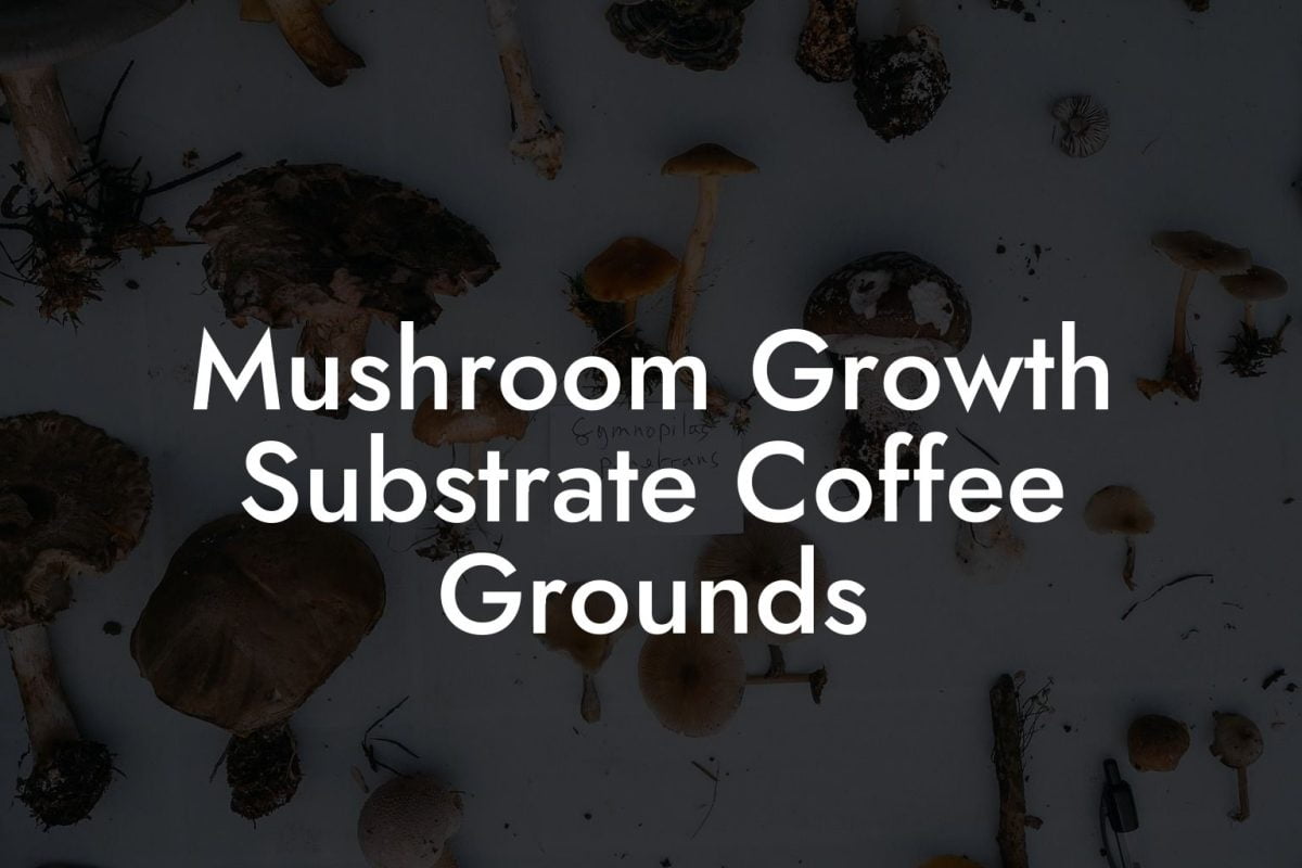 Mushroom Growth Substrate Coffee Grounds