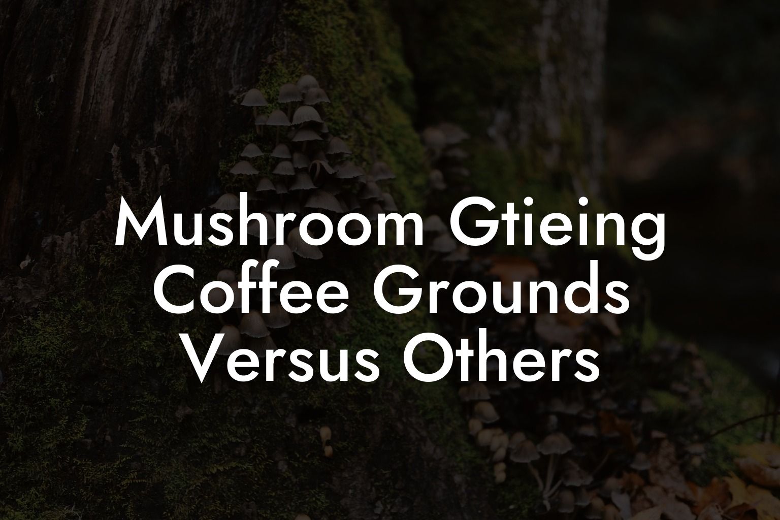 Mushroom Gtieing Coffee Grounds Versus Others