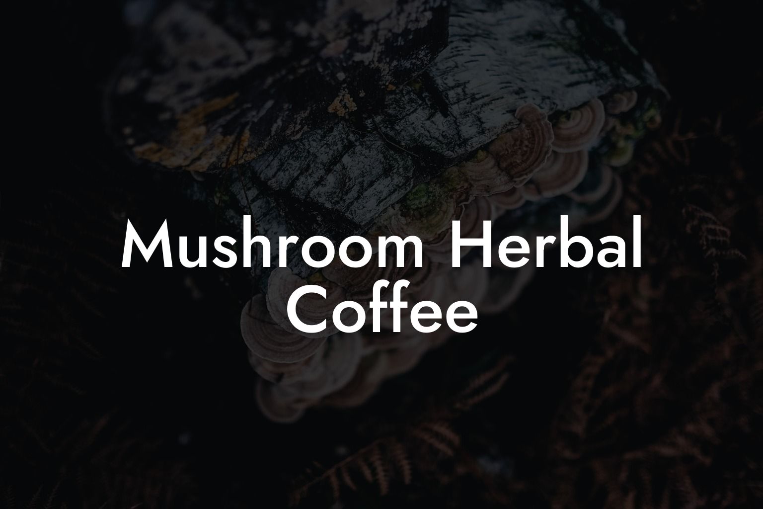 Mushroom Herbal Coffee