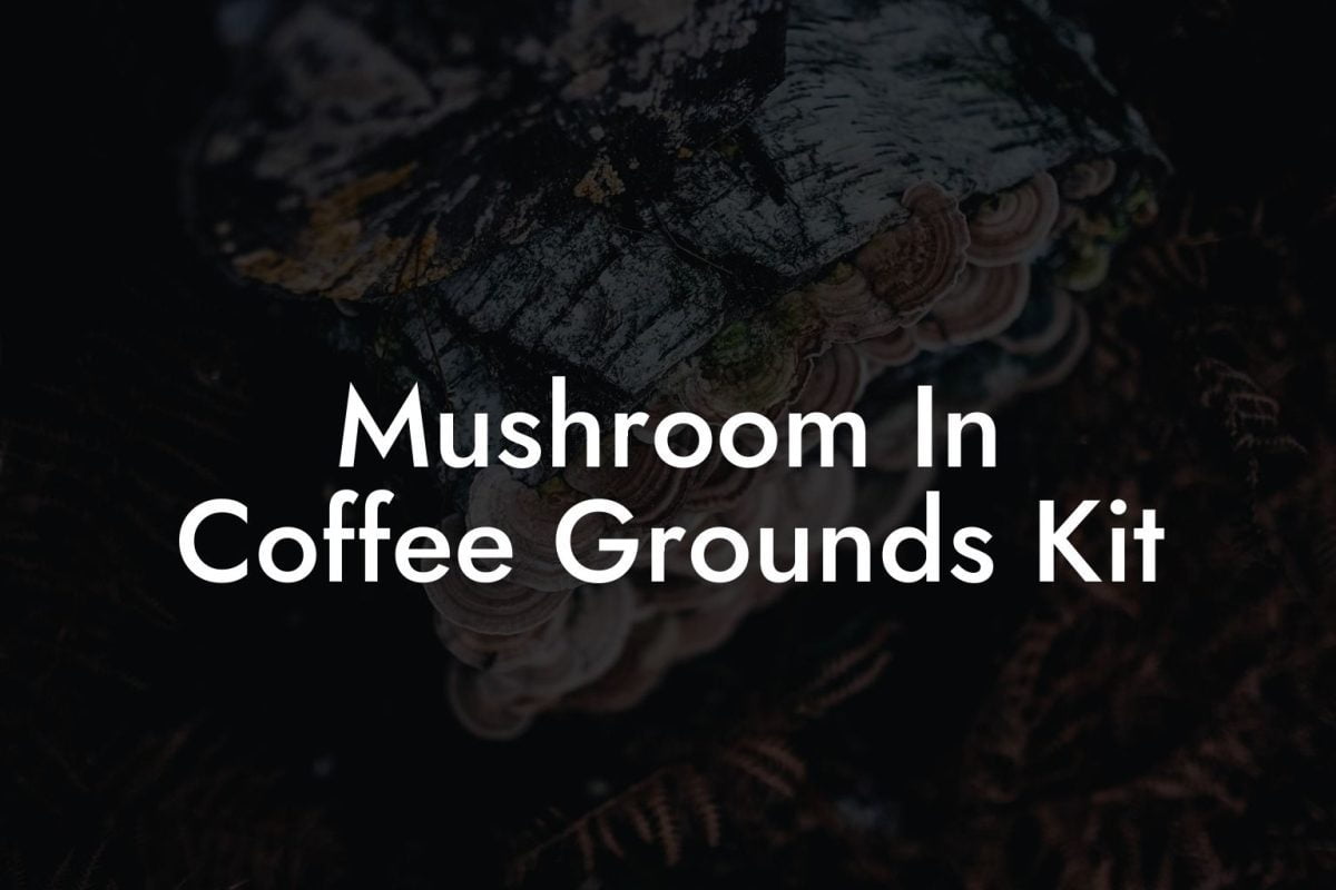 Mushroom In Coffee Grounds Kit