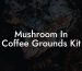 Mushroom In Coffee Grounds Kit