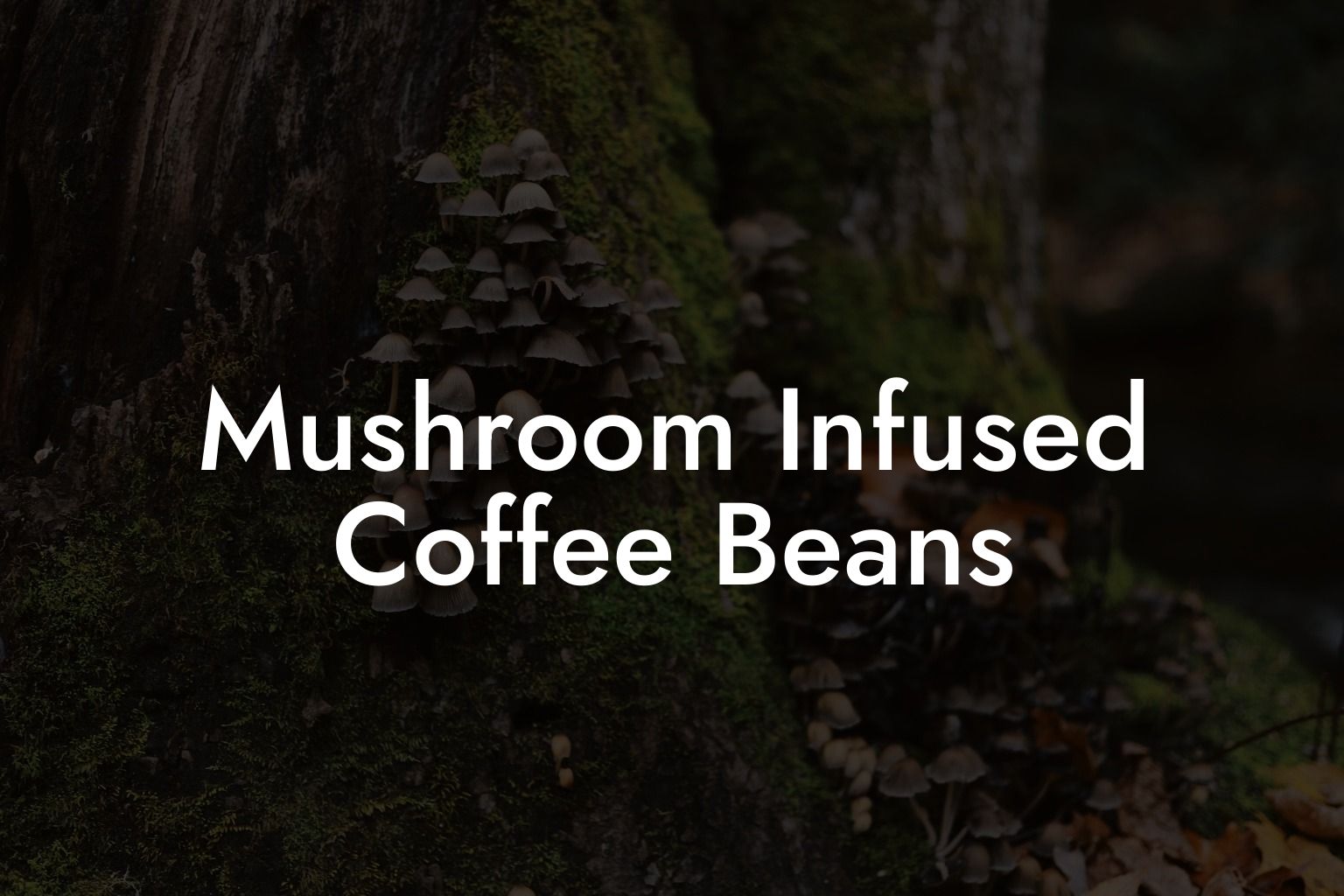 Mushroom Infused Coffee Beans