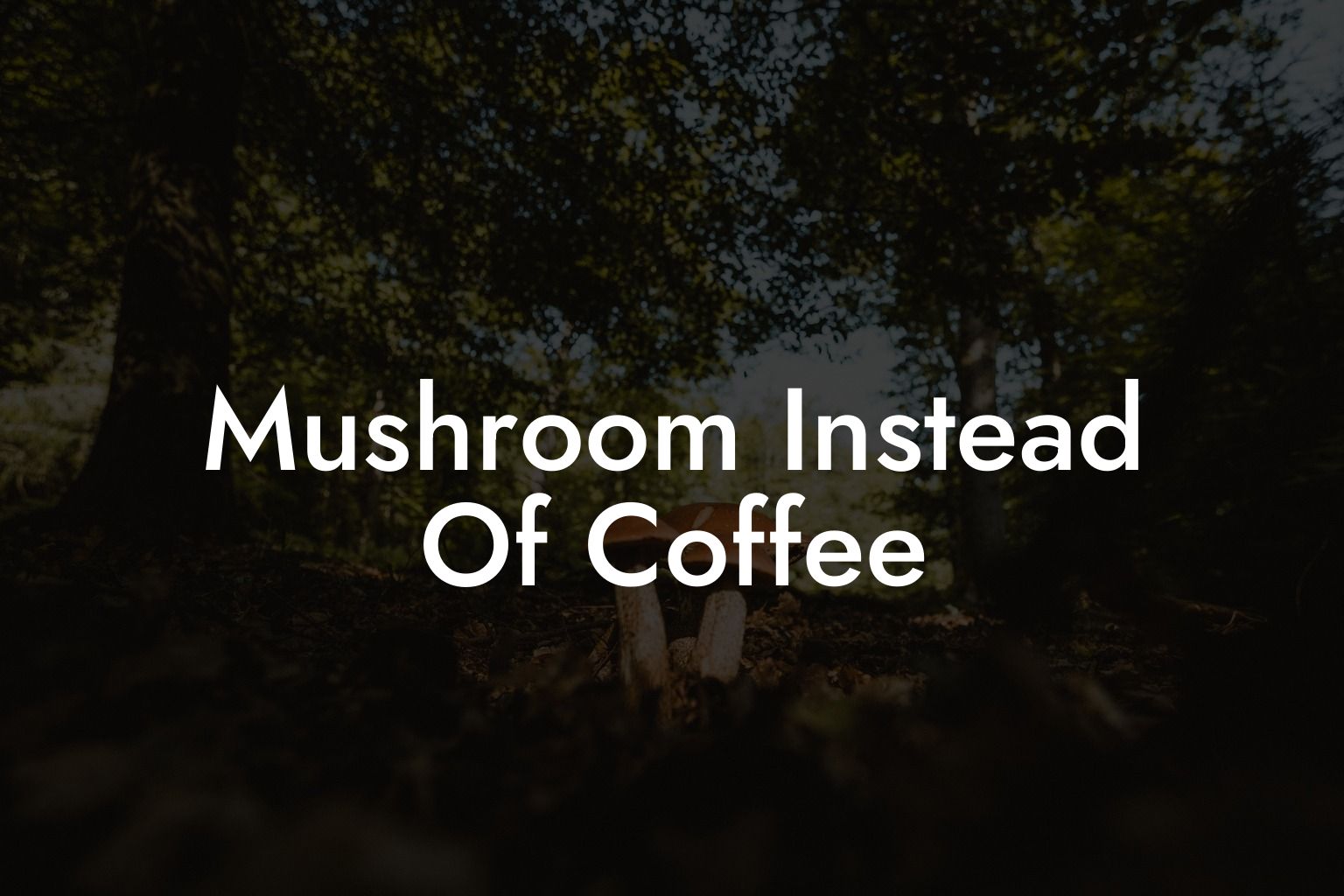 Mushroom Instead Of Coffee