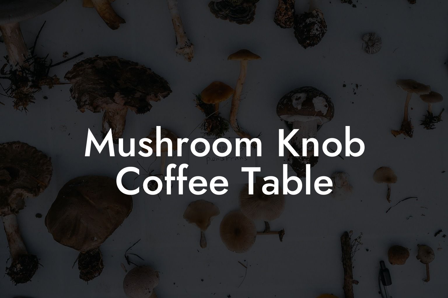 Mushroom Knob Coffee Table