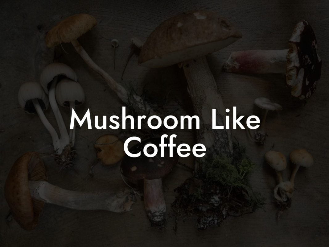 Mushroom Like Coffee
