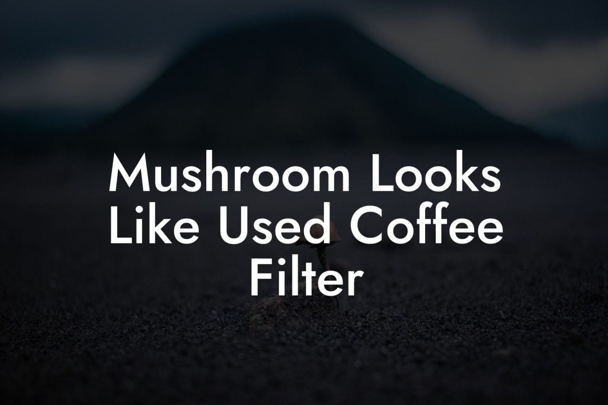 Mushroom Looks Like Used Coffee Filter