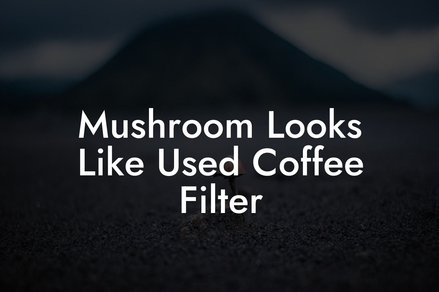 Mushroom Looks Like Used Coffee Filter