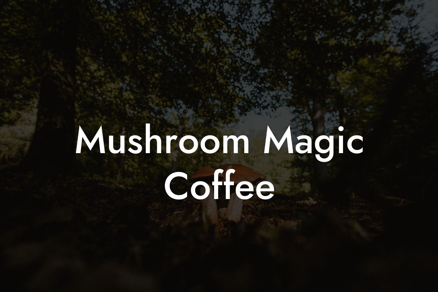 Mushroom Magic Coffee