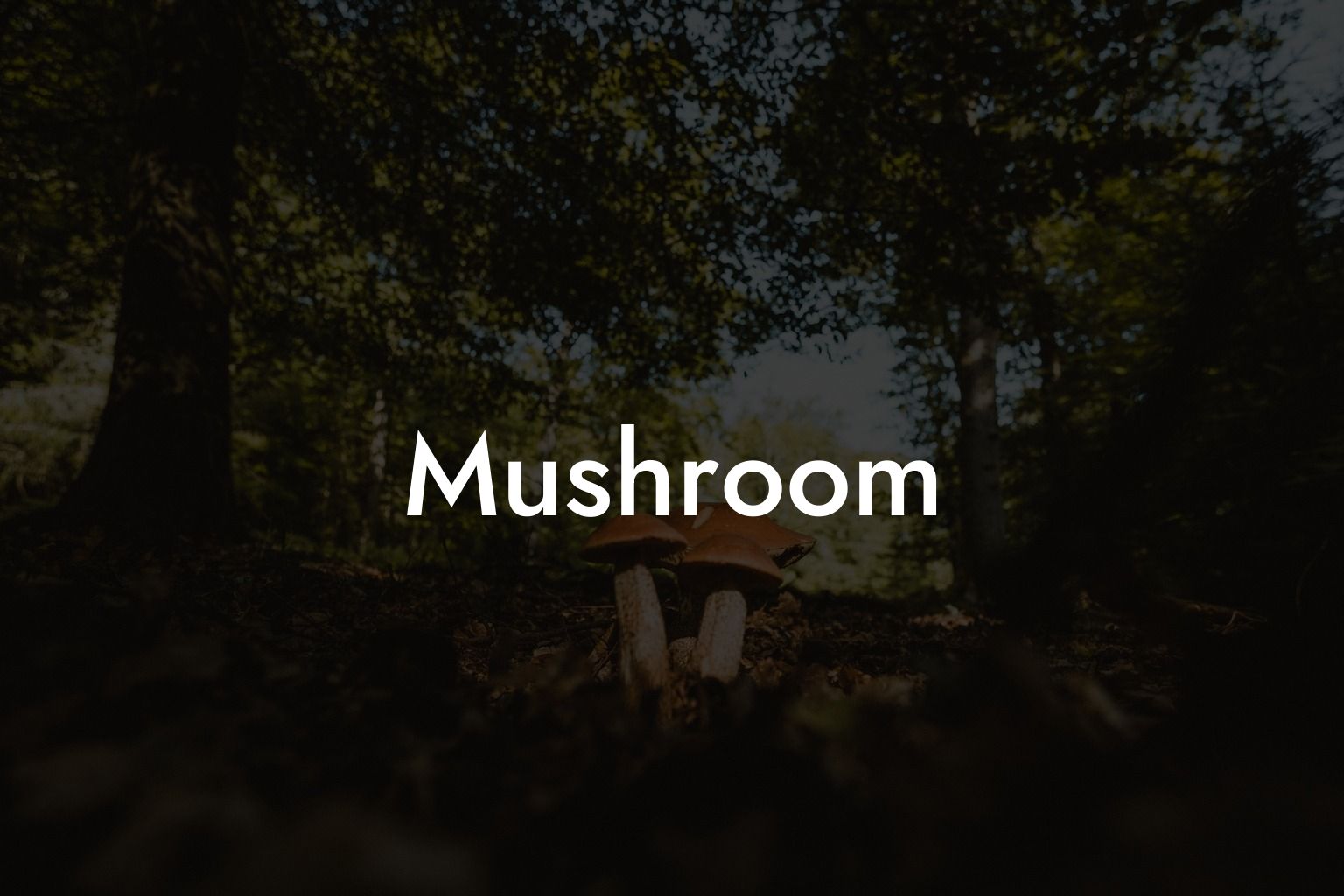 Mushroom