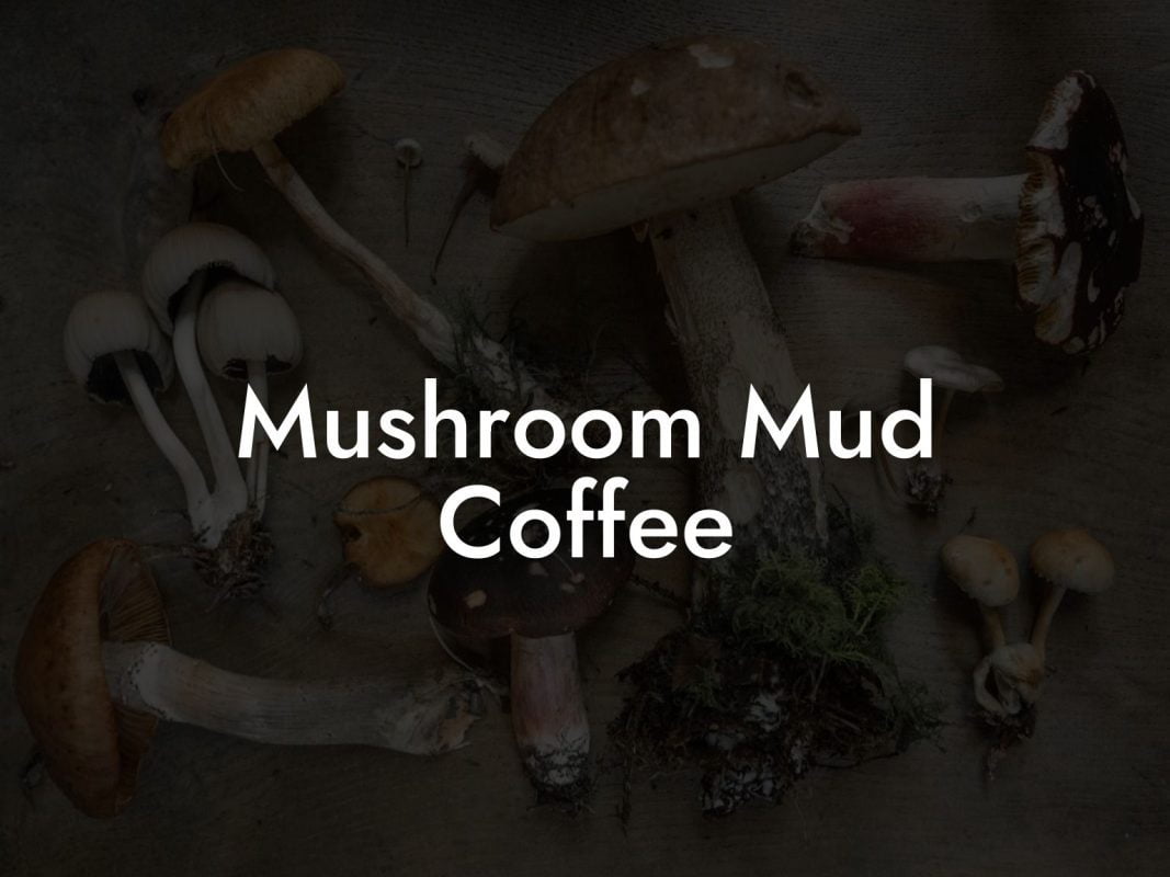 Mushroom Mud Coffee