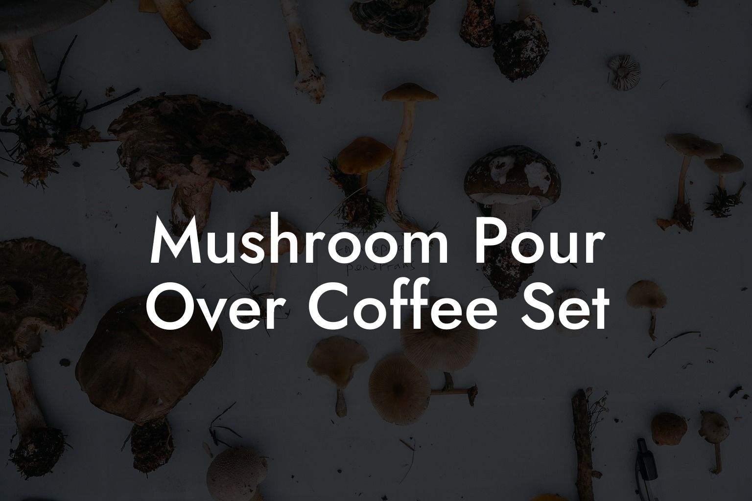 Mushroom Pour Over Coffee Set