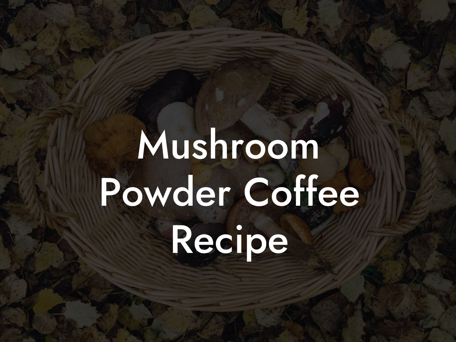 Mushroom Powder Coffee Recipe