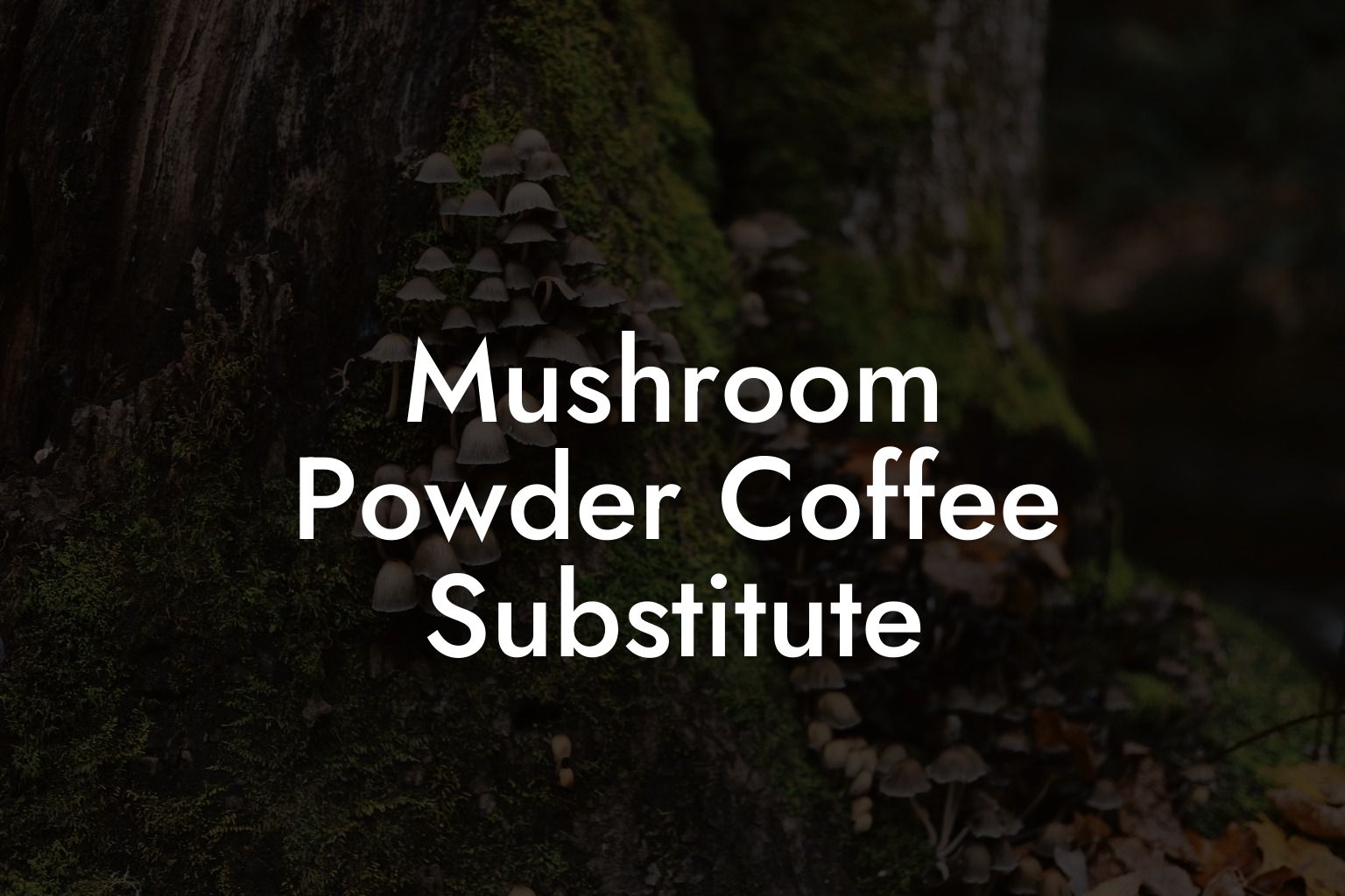 Mushroom Powder Coffee Substitute