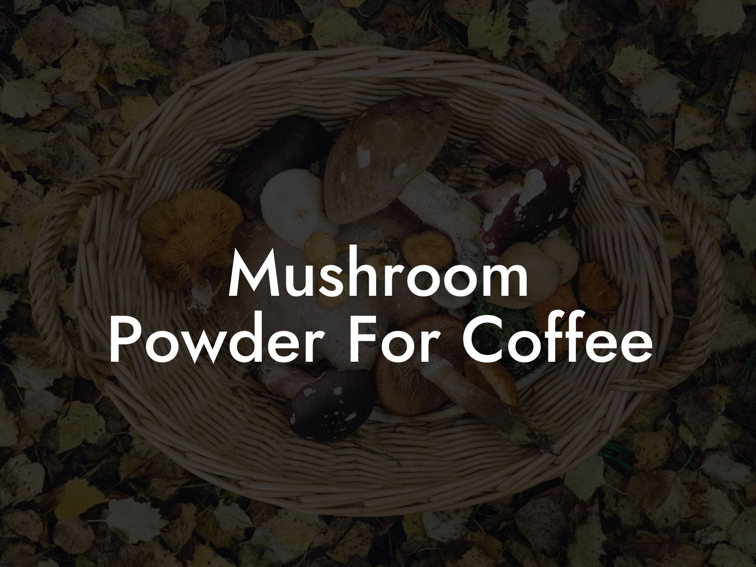 Mushroom Powder For Coffee