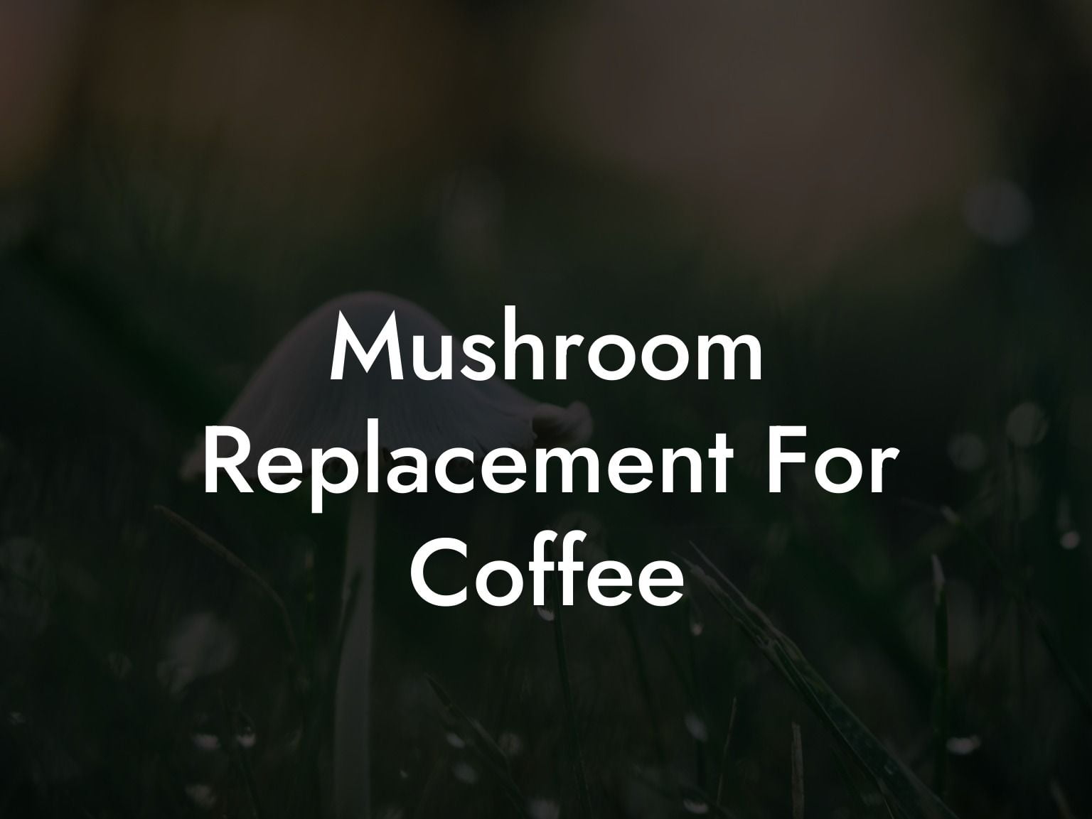 Mushroom Replacement For Coffee
