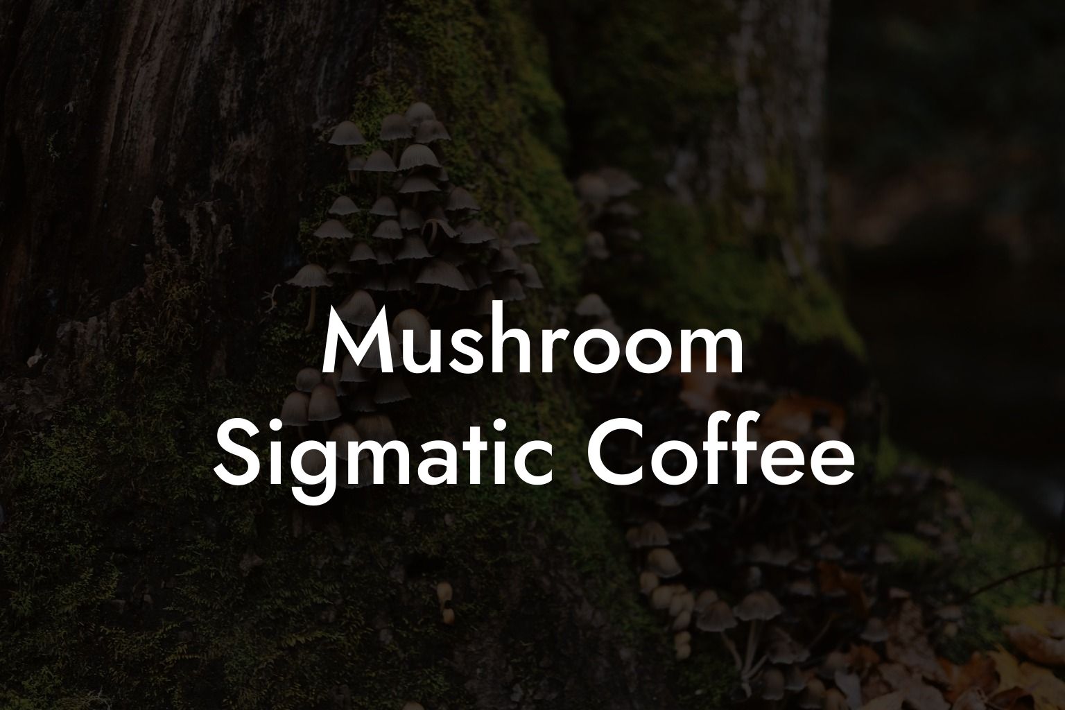 Mushroom Sigmatic Coffee