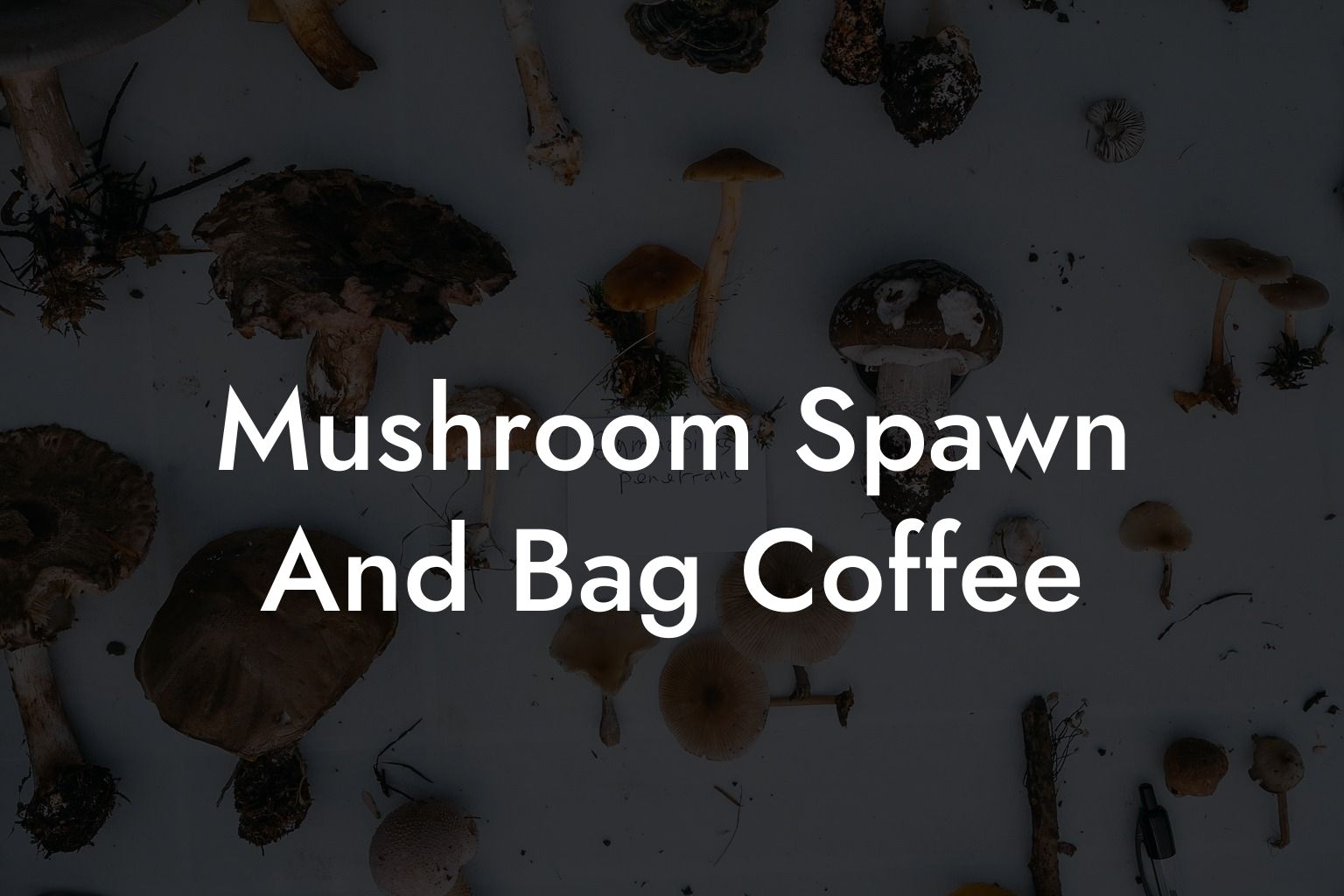 Mushroom Spawn And Bag Coffee