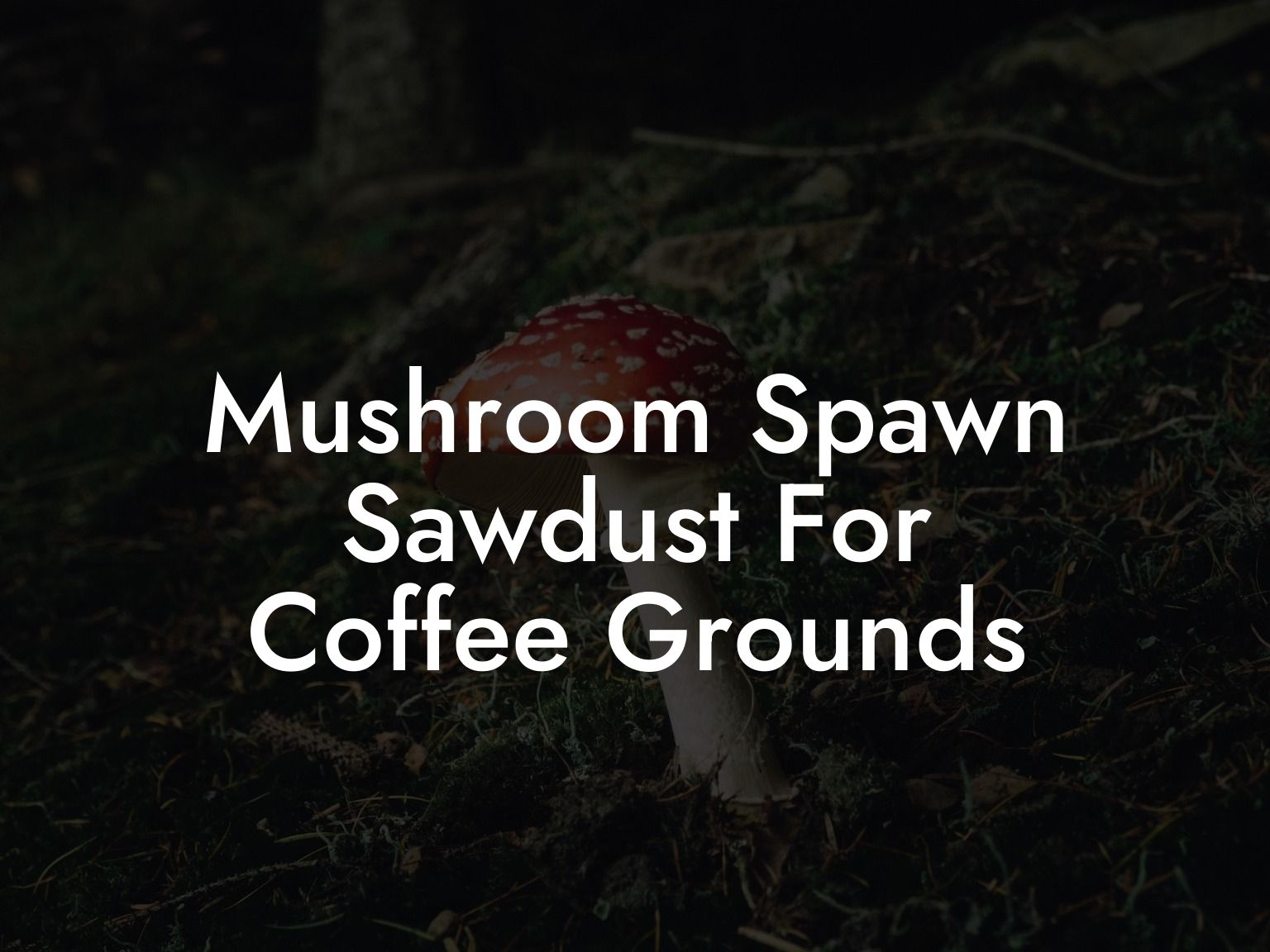 Mushroom Spawn Sawdust For Coffee Grounds