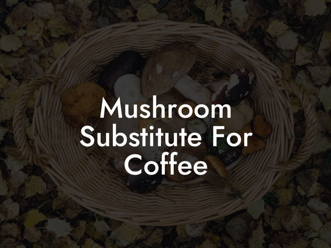 Mushroom Substitute For Coffee