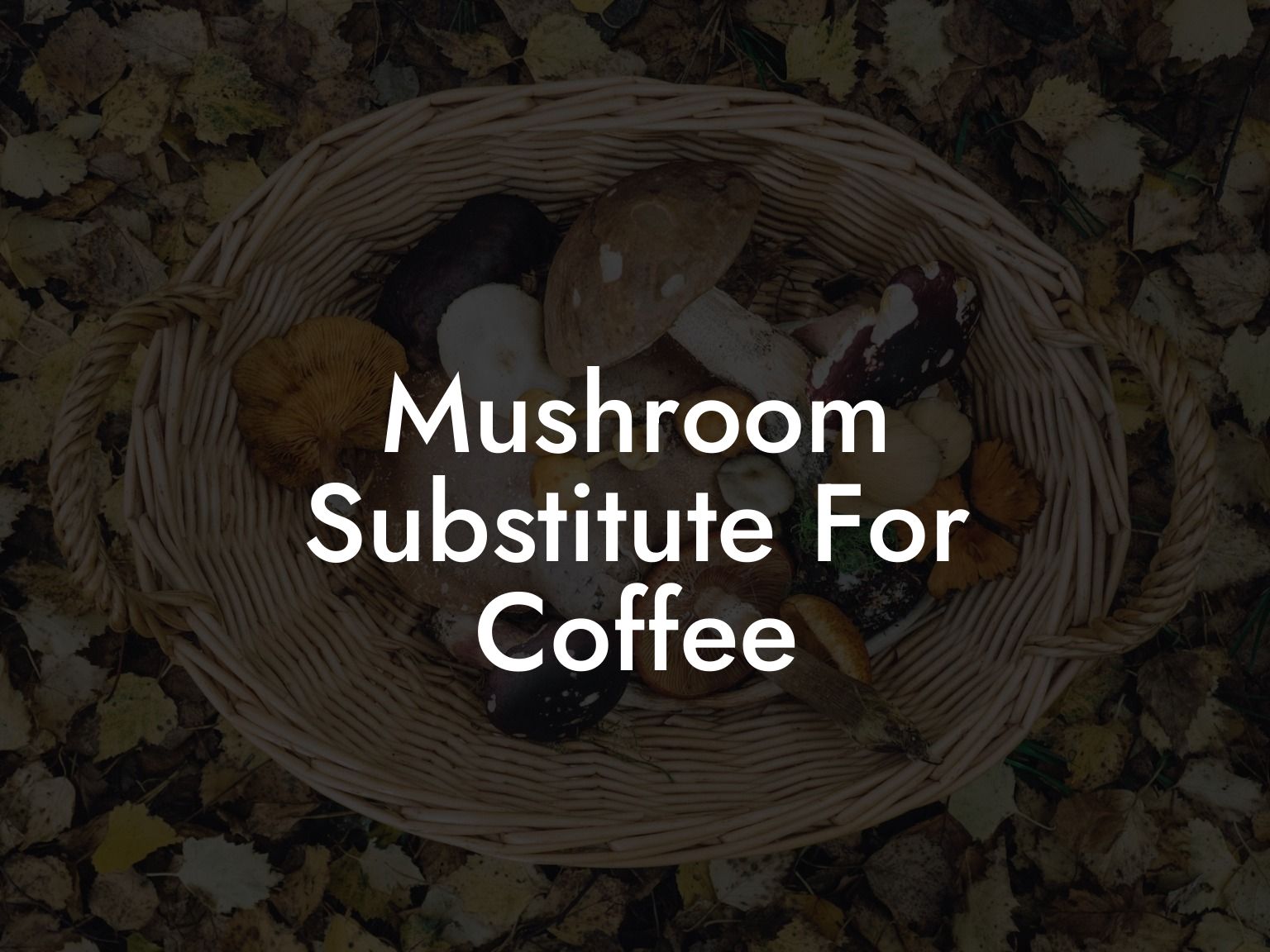 Mushroom Substitute For Coffee