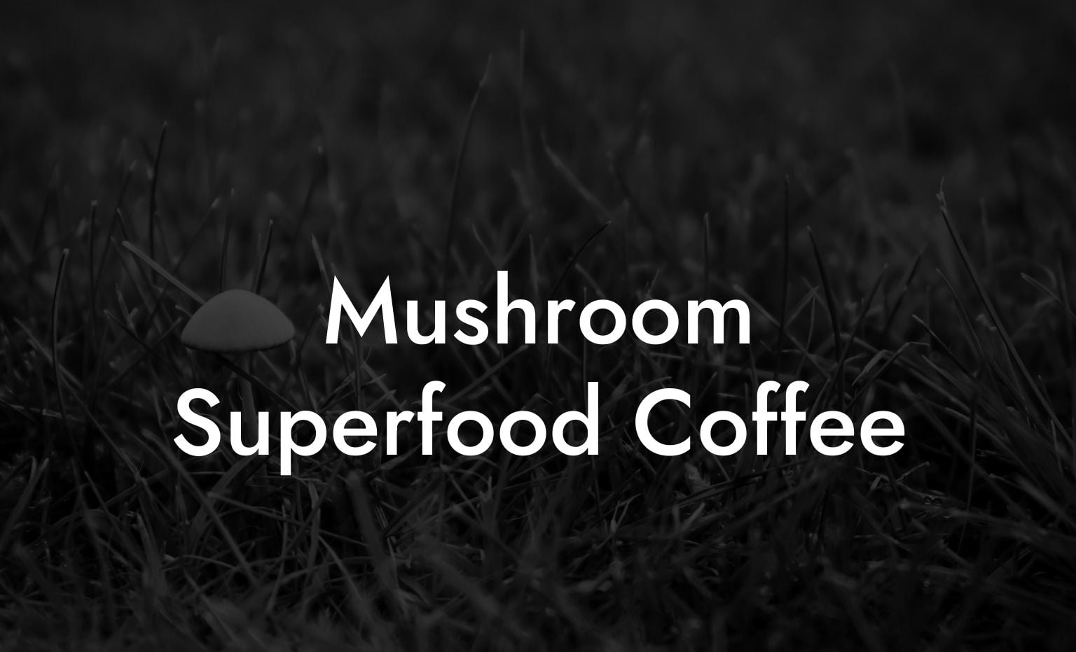 Mushroom Superfood Coffee