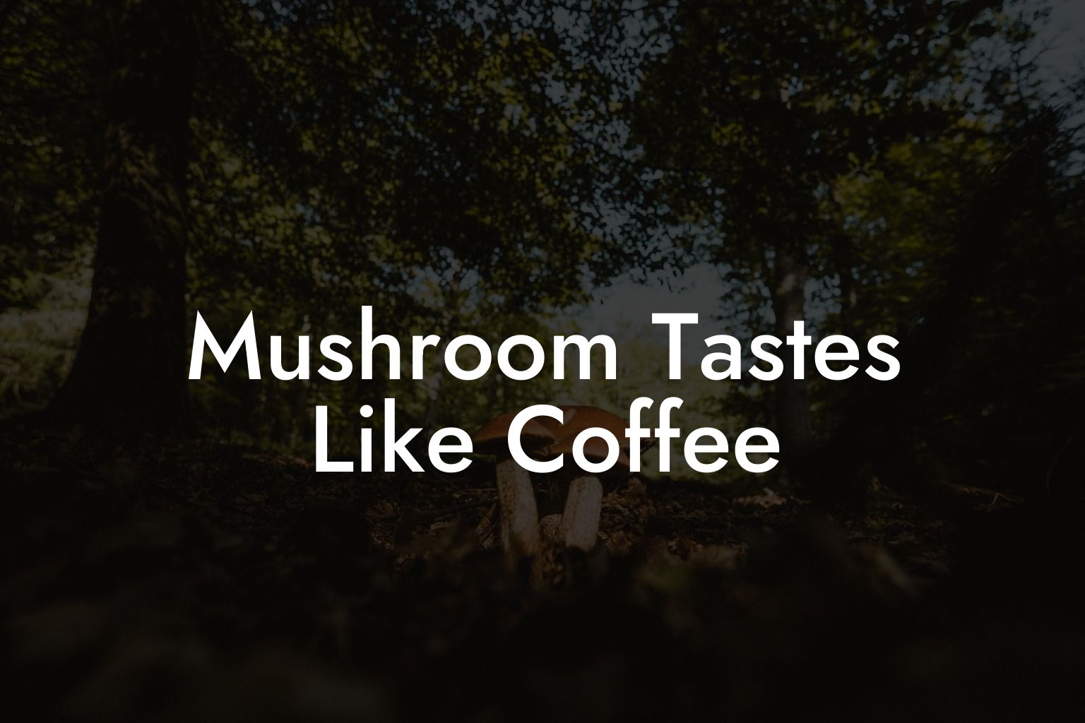 Mushroom Tastes Like Coffee
