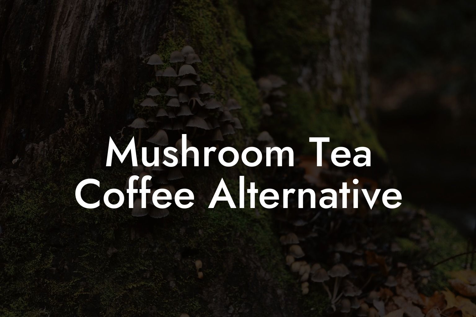 Mushroom Tea Coffee Alternative