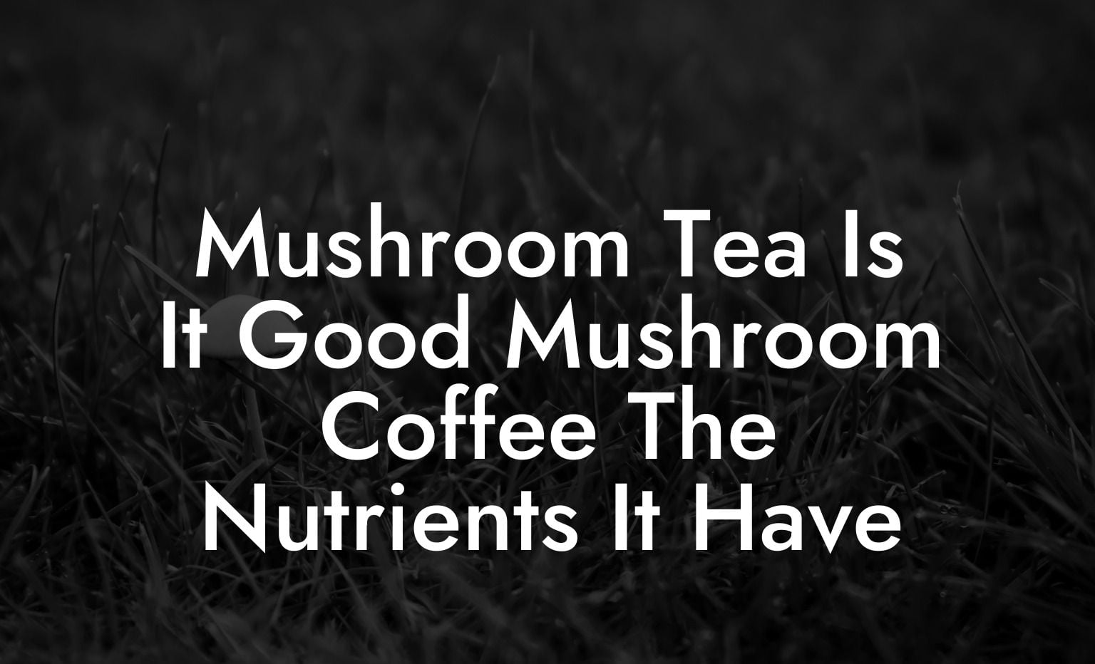 Mushroom Tea Is It Good Mushroom Coffee The Nutrients It Have