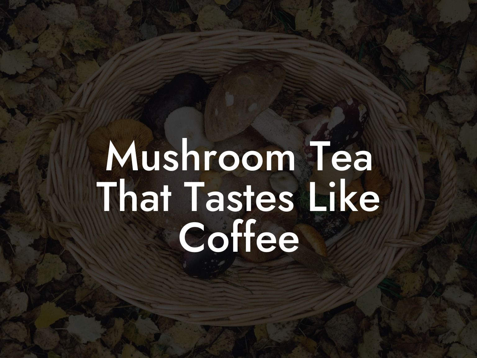 Mushroom Tea That Tastes Like Coffee