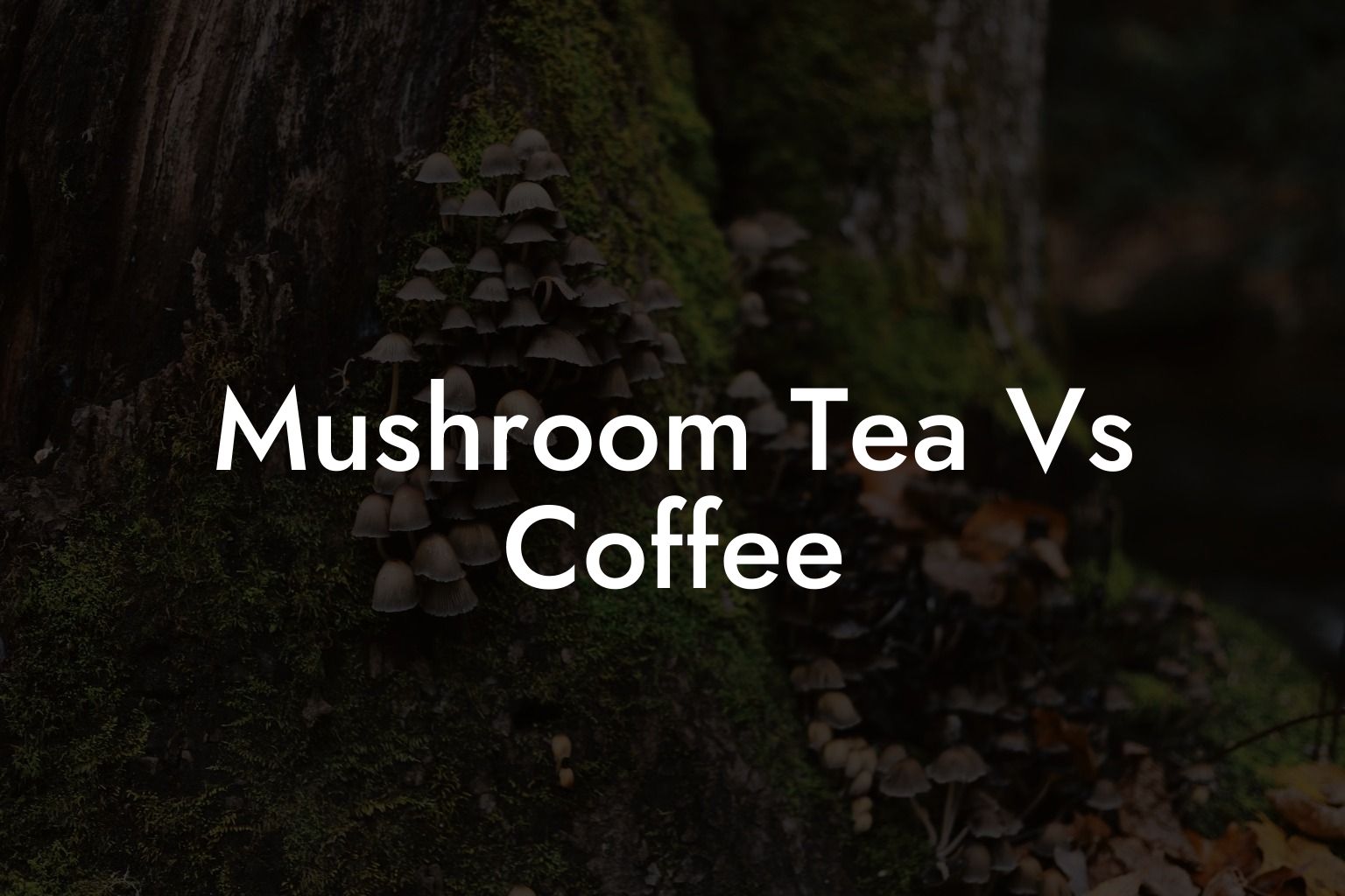 Mushroom Tea Vs Coffee