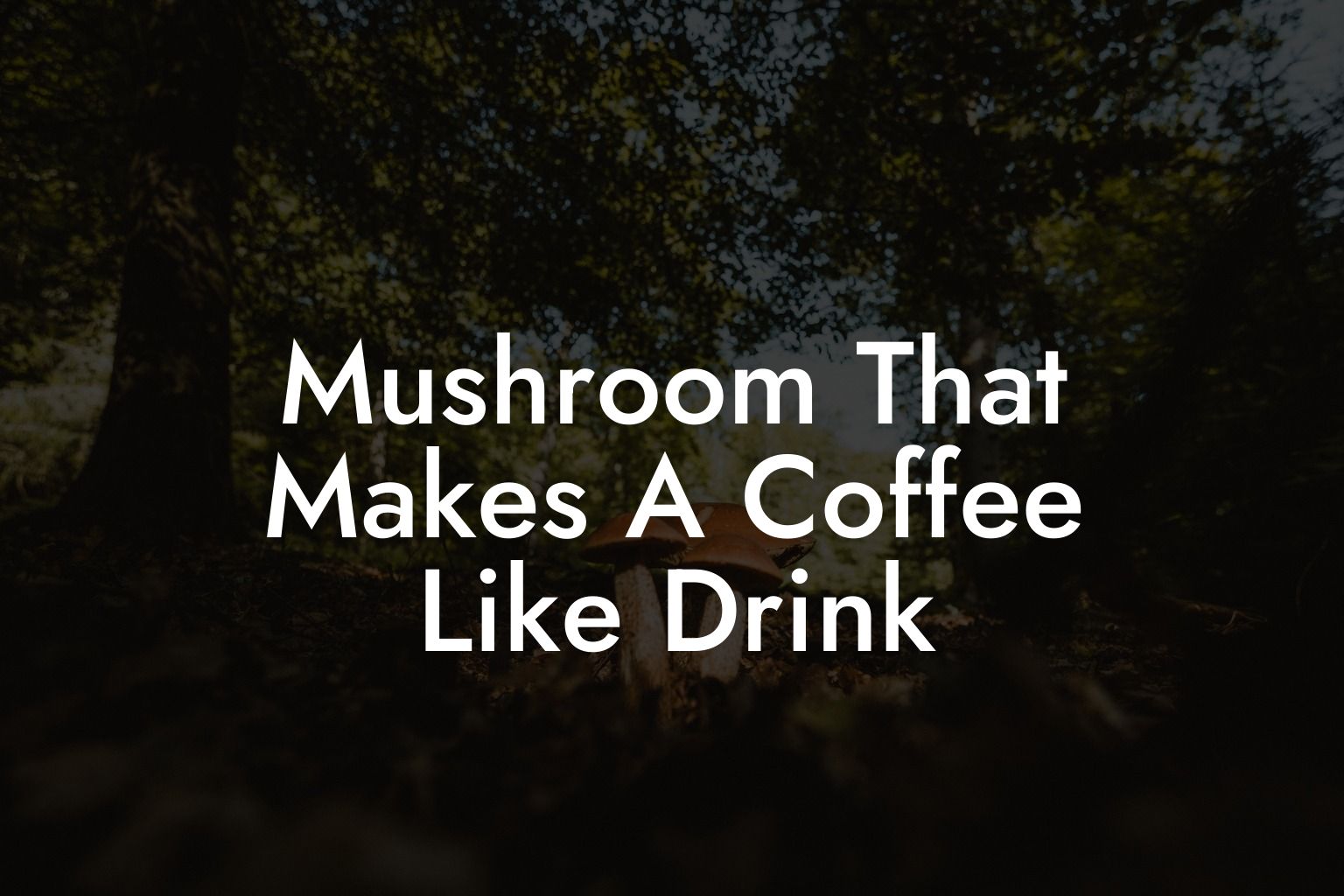 Mushroom That Makes A Coffee Like Drink