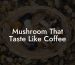 Mushroom That Taste Like Coffee